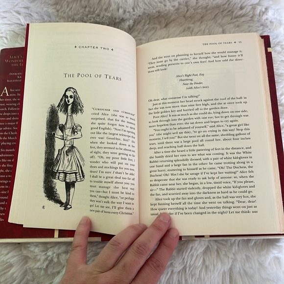 Through the looking glass by Lewis Carol great book bought at barns and nobles - Picture 6 of 8